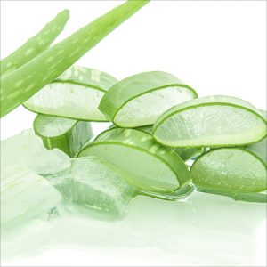 Aloe-Extracts