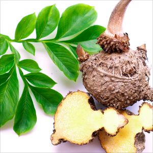 Glucomannan